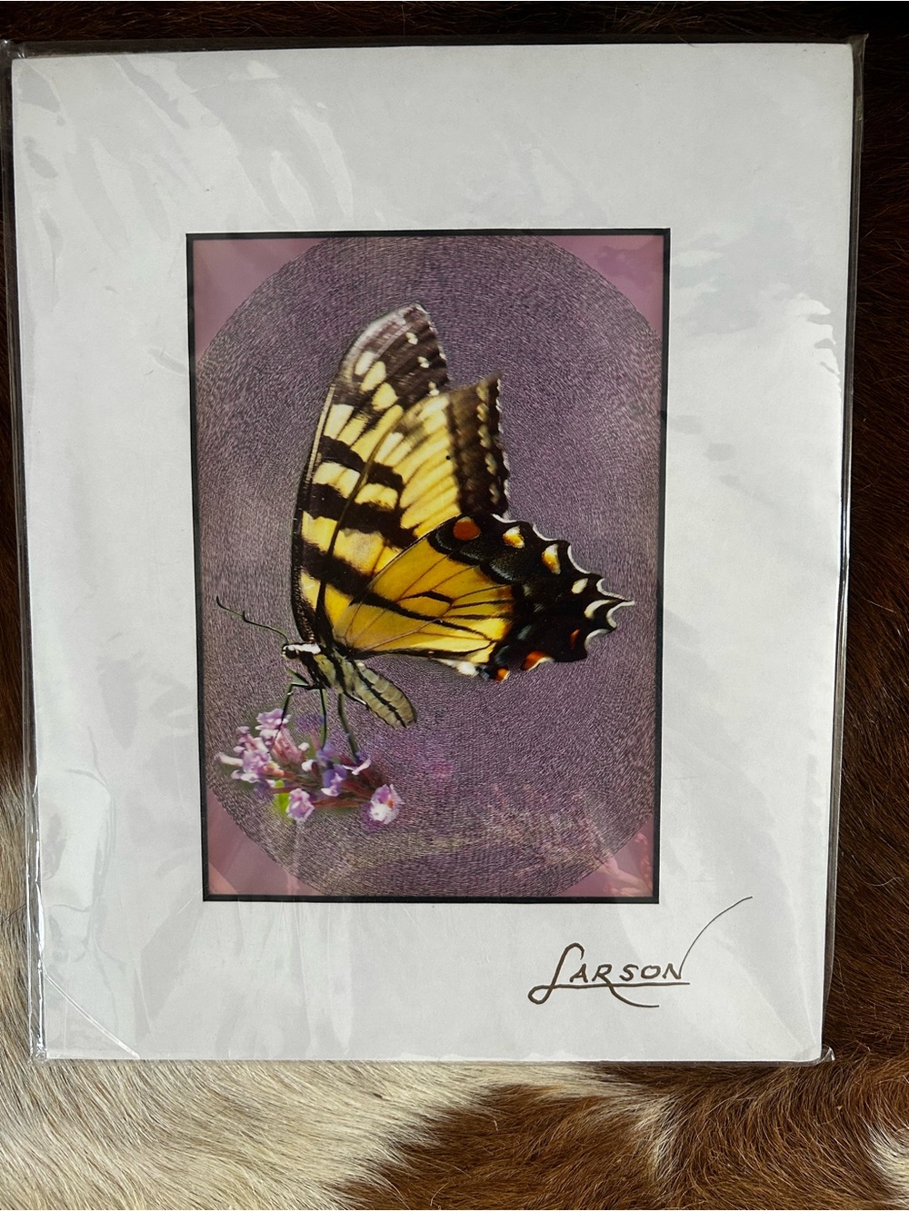 Yellow Butterfly matted print- Signed